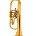 Test et Avis bugle Gerd Dowids BZ-Series Bb-Flugelhorn GL91GP