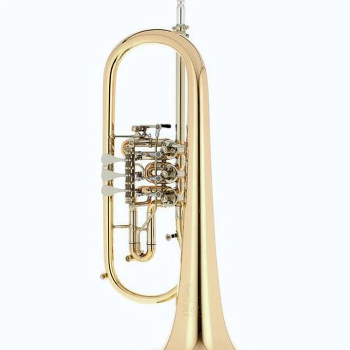 Test, Avis du bugle Melton MWF12GT-L Flugelhorn