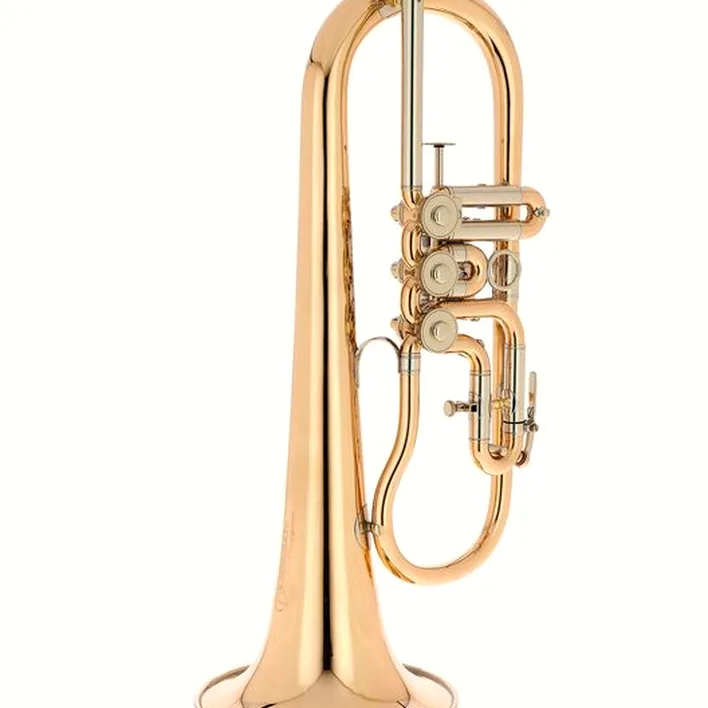 Le bugle Peter Oberrauch Rosengarten Flgh 10,95 raw / Test, Avis et Comparatif