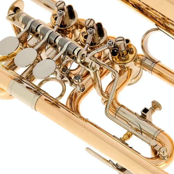Le bugle Peter Oberrauch Rosengarten Flgh 10,95 raw / Test, Avis et Comparatif