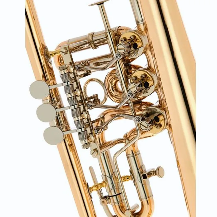 Le bugle Peter Oberrauch Rosengarten Flgh 10,95 raw / Test, Avis et Comparatif