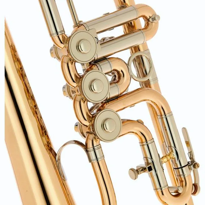Le bugle Peter Oberrauch Rosengarten Flgh 10,95 raw / Test, Avis et Comparatif