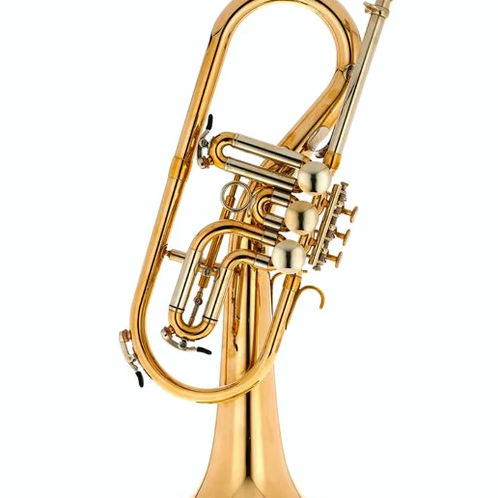 Test, Avis : Schagerl Killerking Flugelhorn UL