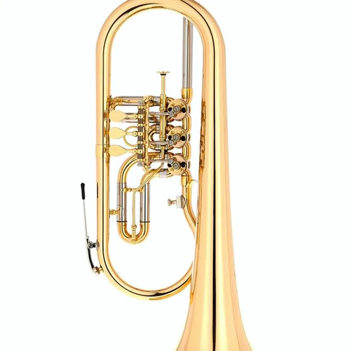 Bugle Schagerl Salzburg L Bb-Flugelhorn Comparatif, Avis et Test