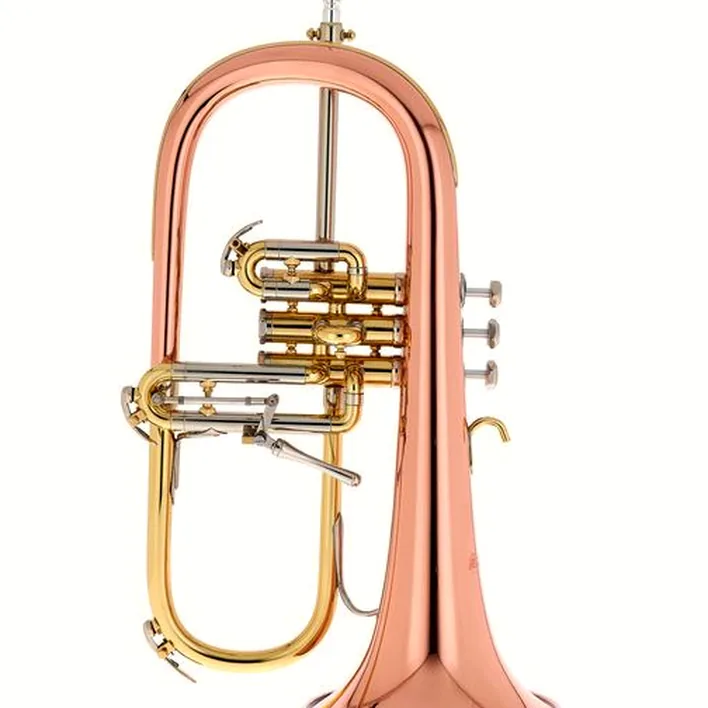 Test & Avis du bugle Schilke 1041 FLC Bb- Flugelhorn
