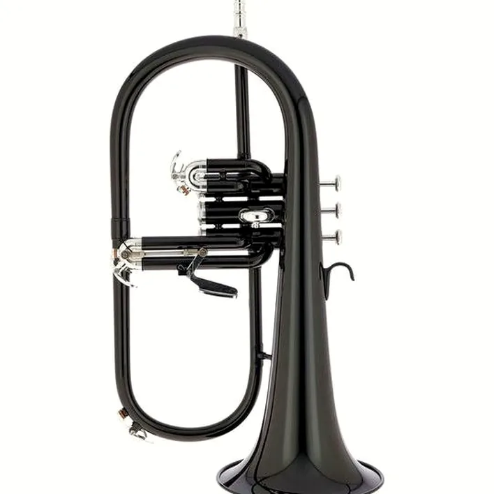 Test, Avis : Thomann Black Jazz Bb- Flugelhorn