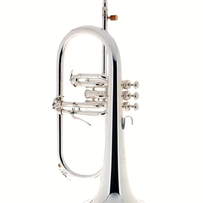 Test et Avis : Yamaha YFH-8315 GS 02 Flugelhorn