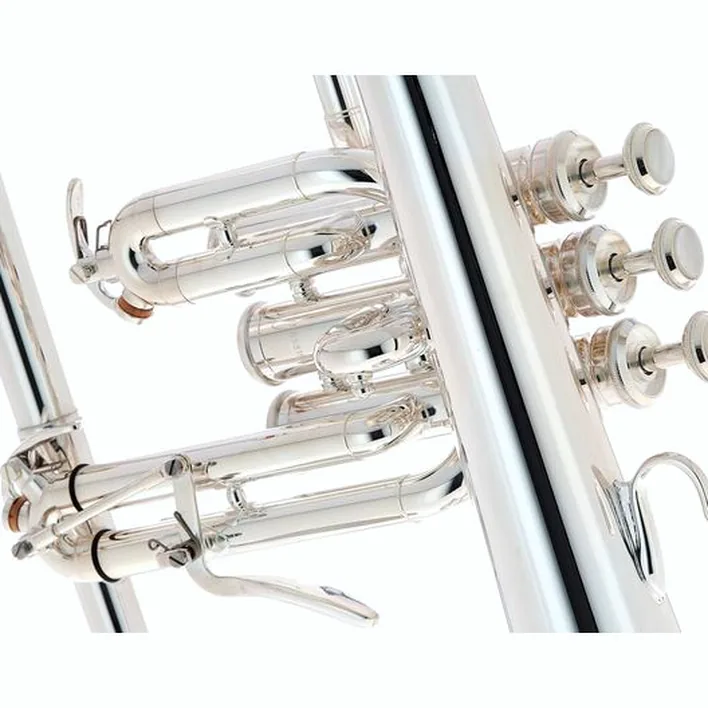 Test et Avis : Yamaha YFH-8315 GS 02 Flugelhorn