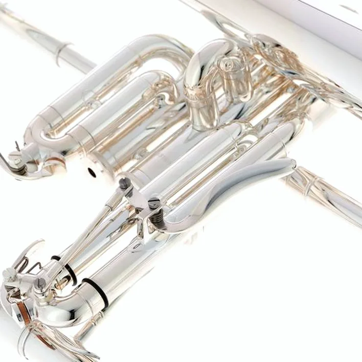 Test et Avis : Yamaha YFH-8315 GS 02 Flugelhorn