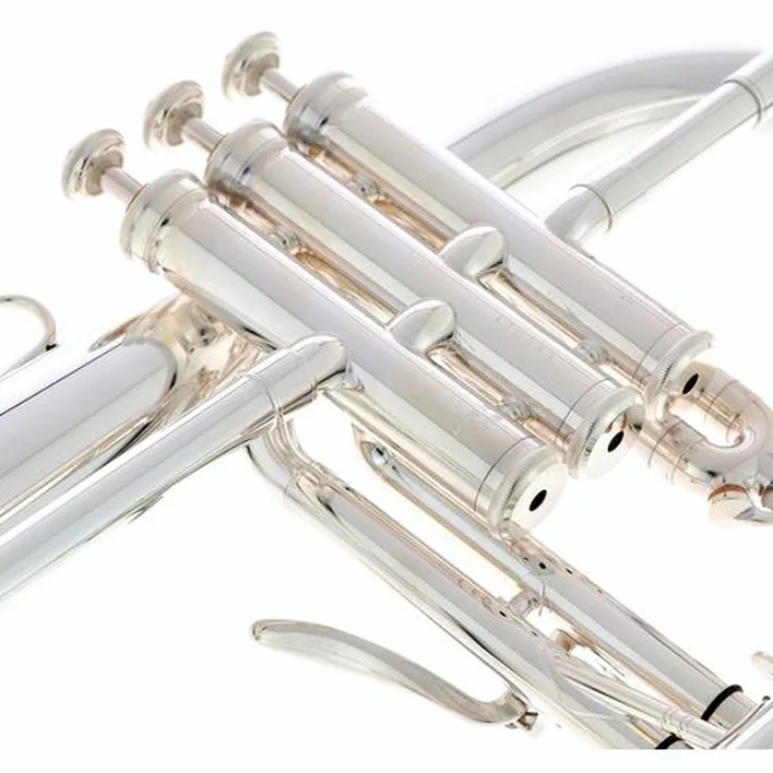 Test et Avis : Yamaha YFH-8315 GS 02 Flugelhorn