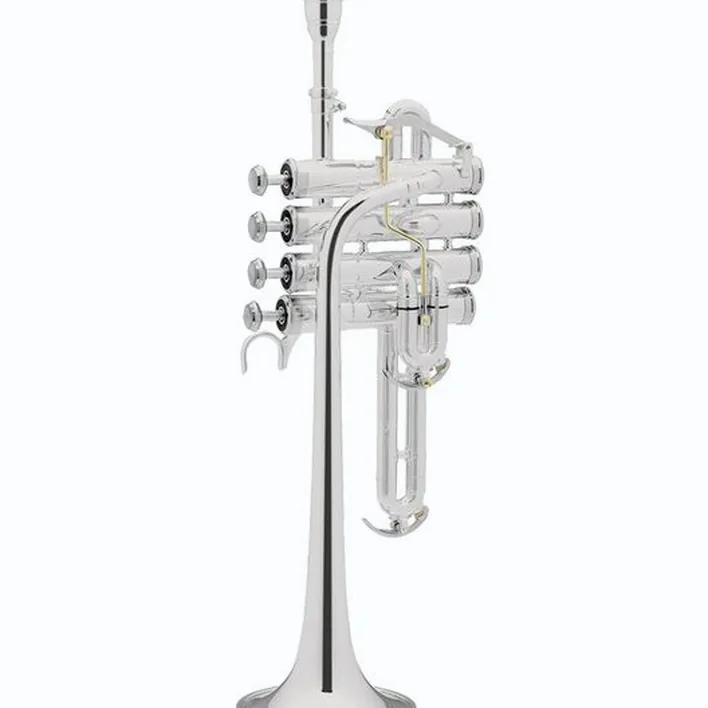 Cerveny TR6018TS Bb/A Piccolo Trumpet Avis, Test et Comparatif