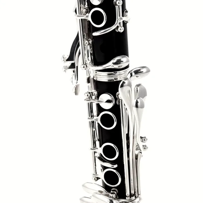 Clarinette Buffet Crampon E-13 Bb-Clarinet 18/6 Gig Bag : Avis, Test