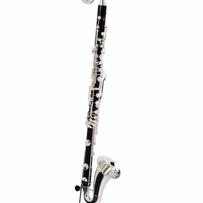 Avis et Test : Buffet Crampon Student Bb-Bass Clarinet