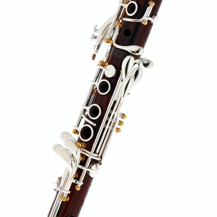 Clarinette RZmagoo Clarinets Solo Hybrid Bb-Clarinet 18/6 – Avis & Test