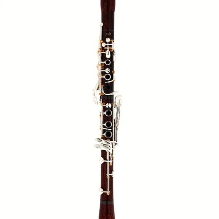 Clarinette RZmagoo Clarinets Solo Hybrid Bb-Clarinet 18/6 – Avis & Test