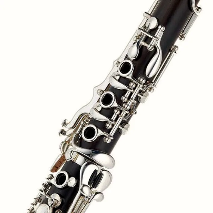 La clarinette Schreiber D-51 Bb-Clarinet / Comparatif, Test, Avis