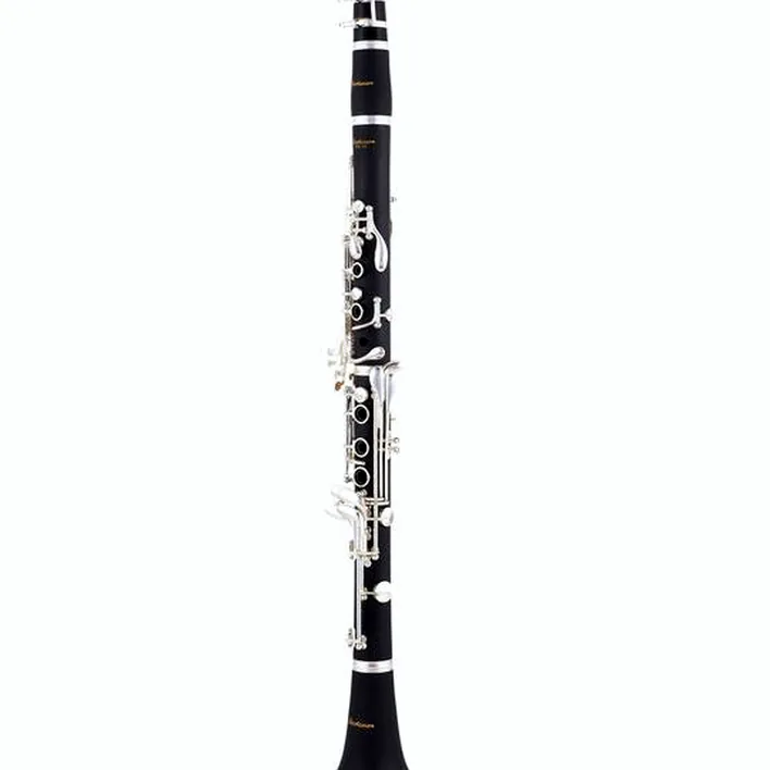 Avis et Test : Startone SCL- 25 Bb- Clarinet