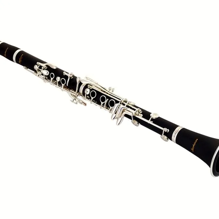 Avis et Test : Startone SCL- 25 Bb- Clarinet