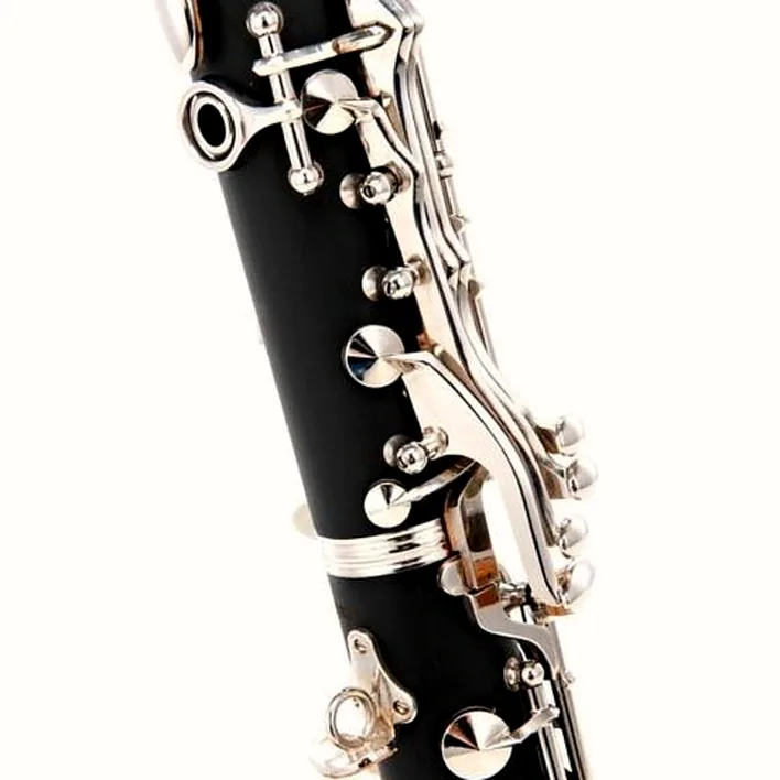 Avis & Test : Thomann CL-17C Synthetic C-Clarinet