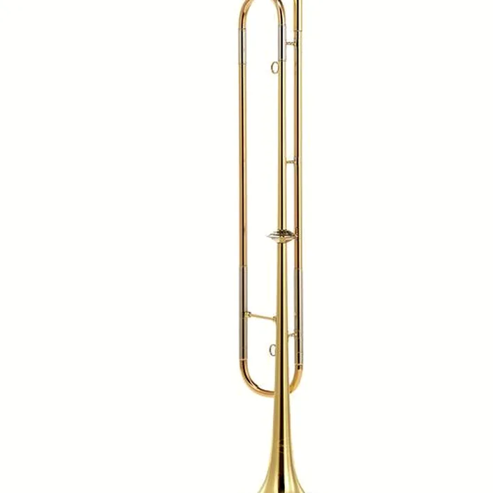 Cuivre de défilé Kühnl & Hoyer Model 597S Eb- 30111 / Avis, Test, Comparatif