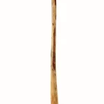 Didjeridoo Thomann Didgeridoo Eucalyptus 130-140 Avis, Comparatif & Test