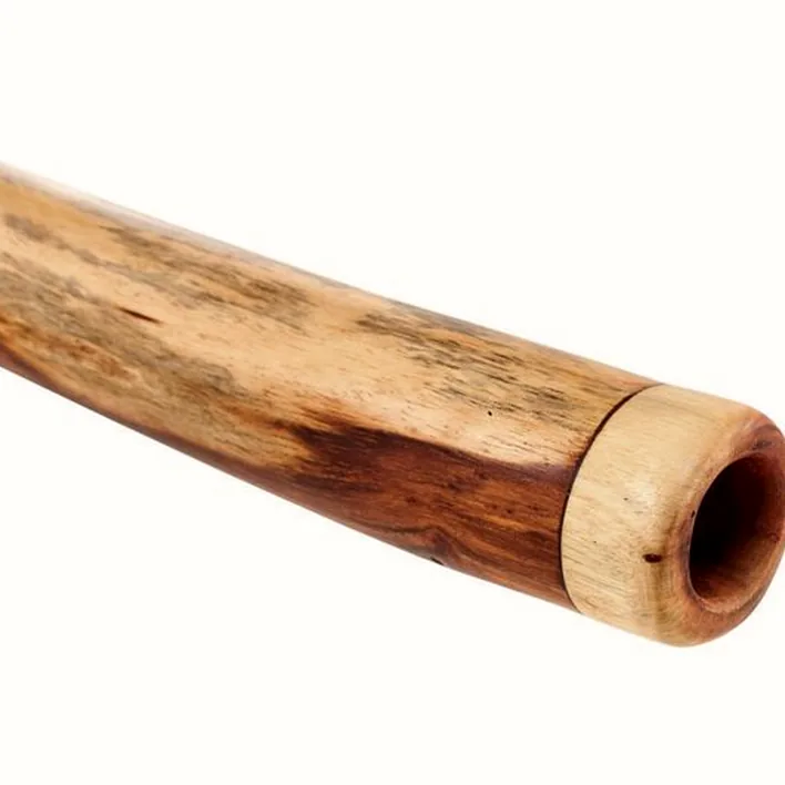 Didjeridoo Thomann Didgeridoo Eucalyptus 130-140 Avis, Comparatif & Test