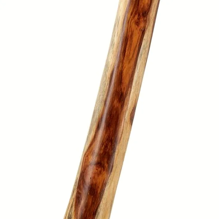 Didjeridoo Thomann Didgeridoo Eucalyptus 130-140 Avis, Comparatif & Test