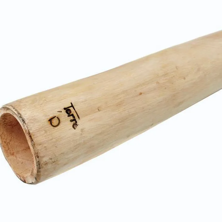 Didjeridoo Thomann Didgeridoo Mahagoni Proline D Comparatif, Test & Avis