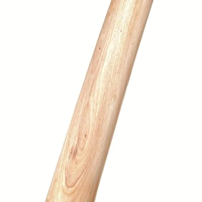 Didjeridoo Thomann Didgeridoo Mahagoni Proline D Comparatif, Test & Avis
