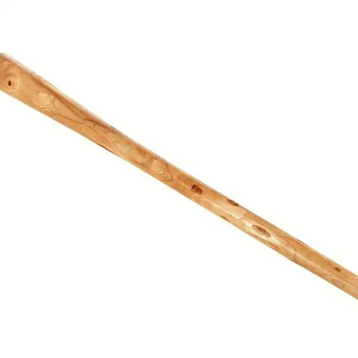 Didjeridoo Thomann Didgeridoo Teak 150 cm Natur E Comparatif, Avis & Test