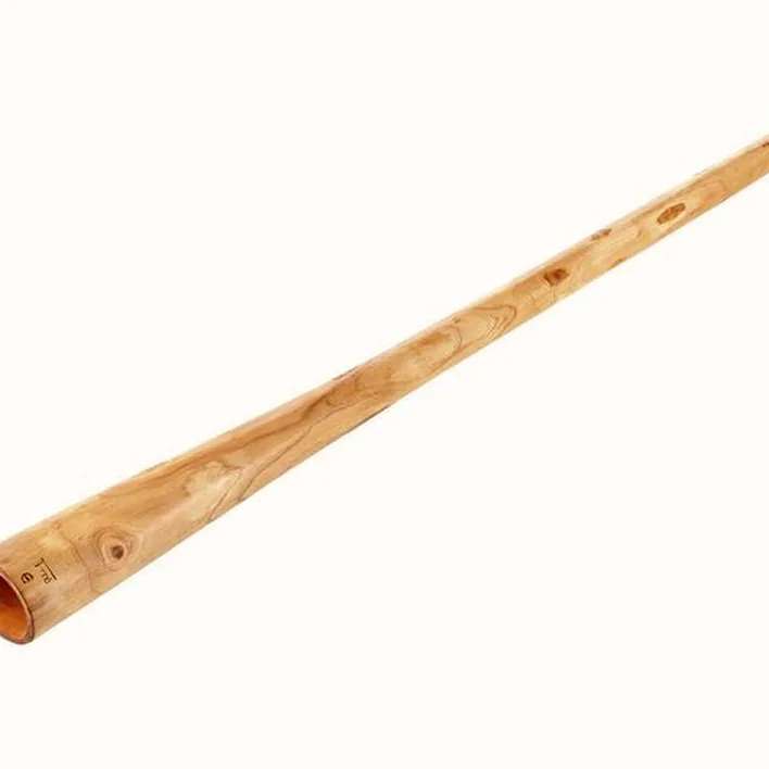 Didjeridoo Thomann Didgeridoo Teak 150 cm Natur E Comparatif, Avis & Test