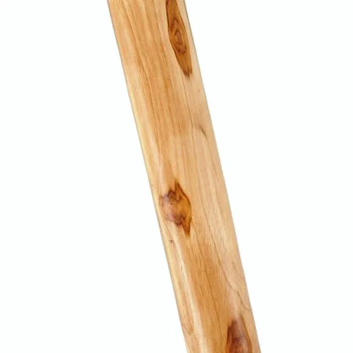 Didjeridoo Thomann Didgeridoo Teak 150 cm Natur E Comparatif, Avis & Test