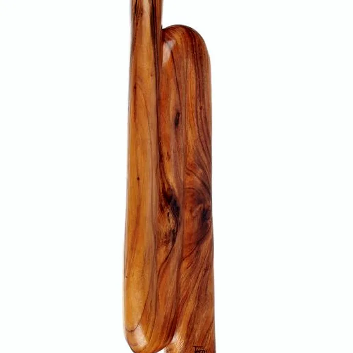 Didjeridoo Thomann Traveller Didgeridoo C# Avis, Test