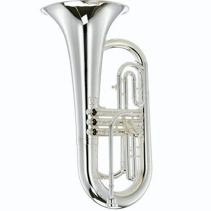 Euphonium Thomann MEP-304S Bb-Marching Euphonium , Avis, Test & Comparatif