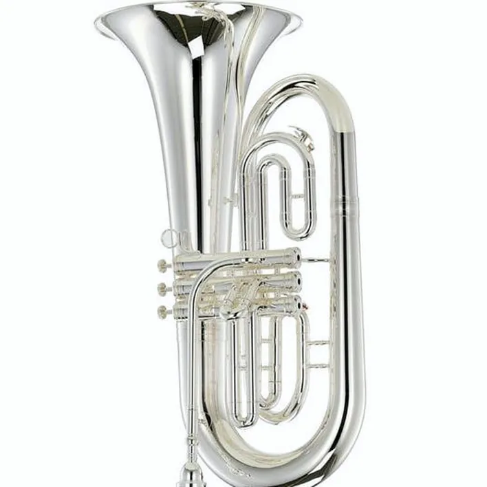 Euphonium Thomann MEP-304S Bb-Marching Euphonium , Avis, Test & Comparatif