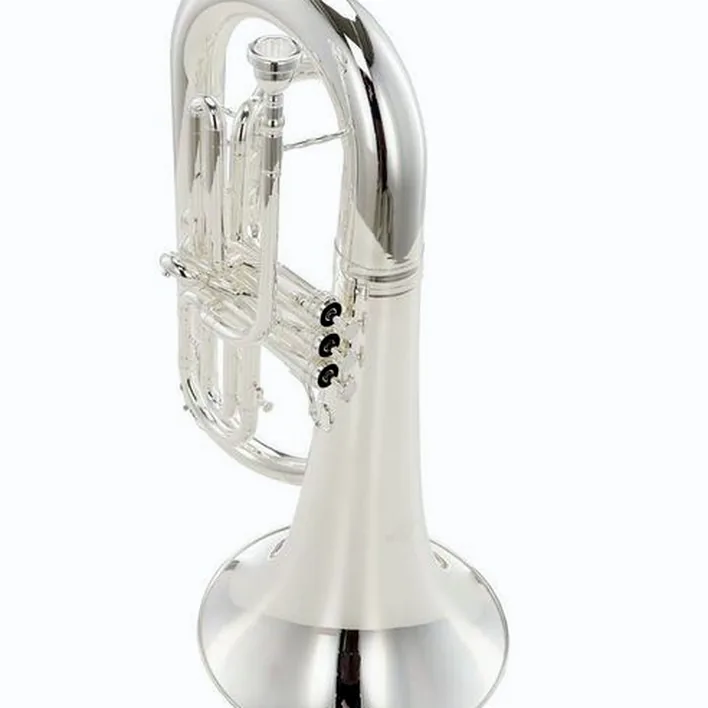 Euphonium Thomann MEP-304S Bb-Marching Euphonium , Avis, Test & Comparatif