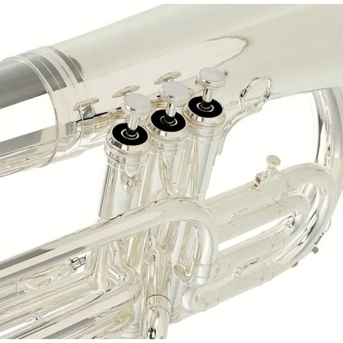 Euphonium Thomann MEP-304S Bb-Marching Euphonium , Avis, Test & Comparatif