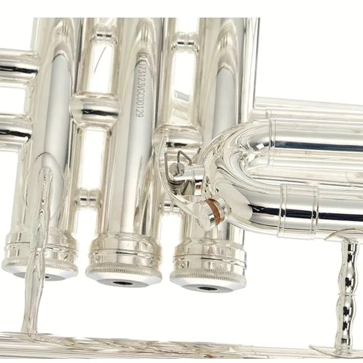 Euphonium Thomann MEP-304S Bb-Marching Euphonium , Avis, Test & Comparatif