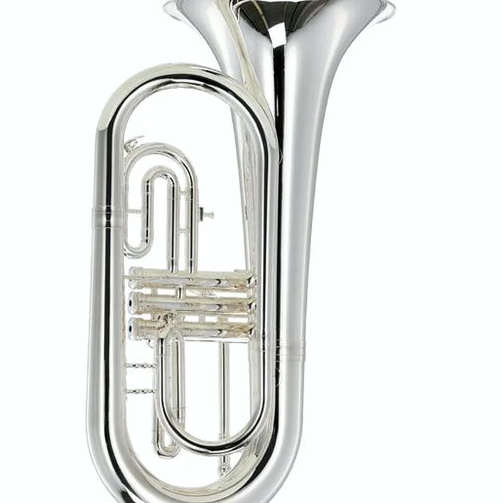 Euphonium Thomann MEP-304S Bb-Marching Euphonium , Avis, Test & Comparatif