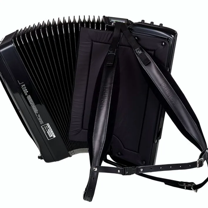 Faut-il acheter l’accordéon Roland FR-8 X BK ?