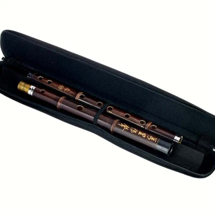 Flûte Artino Chinese QuDi Pro Flute D / Test, Comparatif, Avis