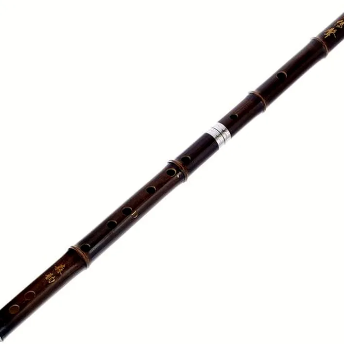 Flûte Artino Chinese QuDi Pro Flute D / Test, Comparatif, Avis