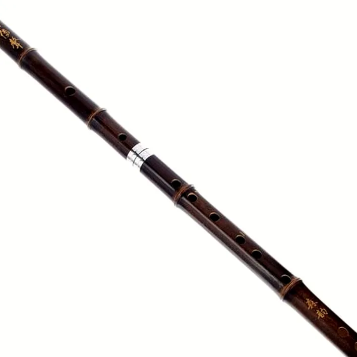 Flûte Artino Chinese QuDi Pro Flute D / Test, Comparatif, Avis