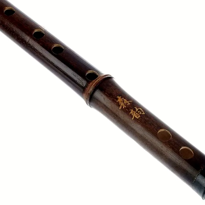 Flûte Artino Chinese QuDi Pro Flute D / Test, Comparatif, Avis