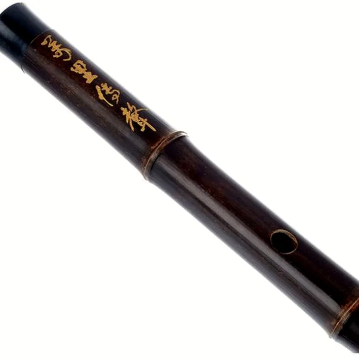 Flûte Artino Chinese QuDi Pro Flute D / Test, Comparatif, Avis