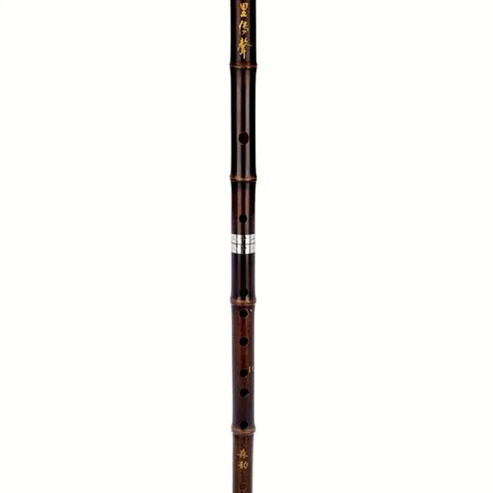 Flûte Artino Chinese QuDi Pro Flute D / Test, Comparatif, Avis
