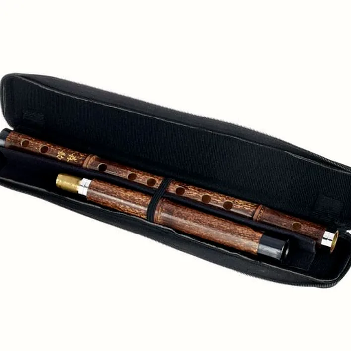 Flûte Artino Chinese QuDi Pro Flute Eb Avis, Comparatif, Test