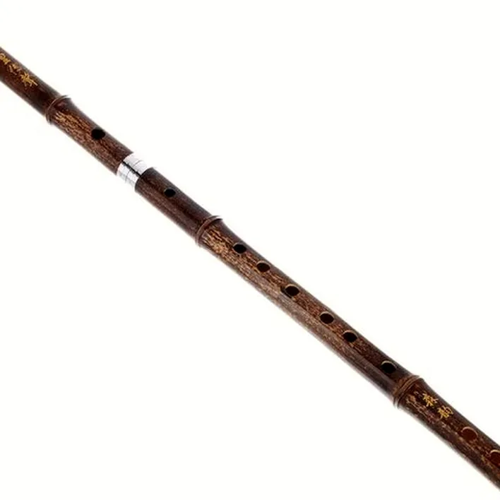 Flûte Artino Chinese QuDi Pro Flute Eb Avis, Comparatif, Test