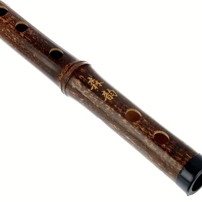 Flûte Artino Chinese QuDi Pro Flute Eb Avis, Comparatif, Test