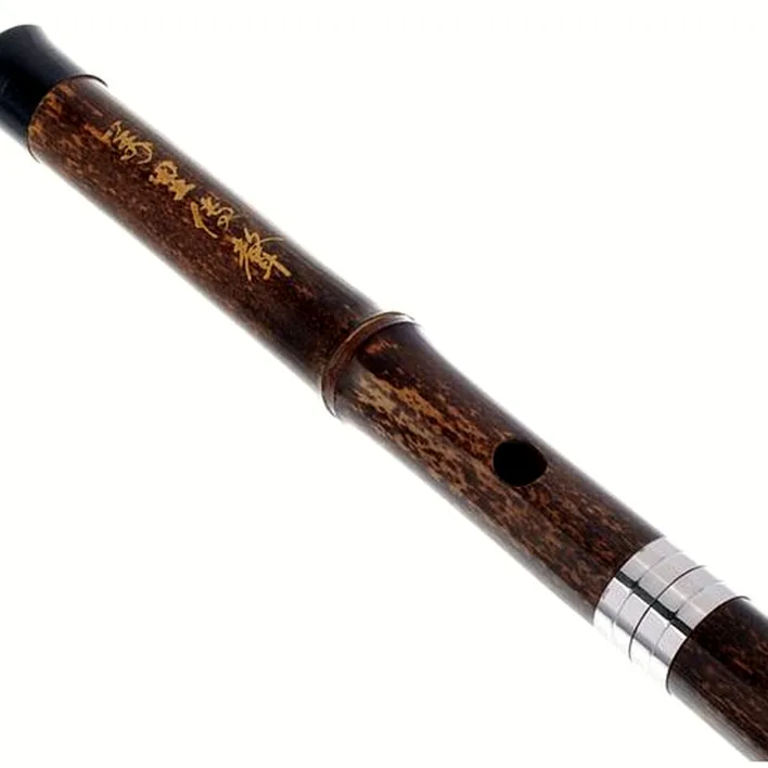 Flûte Artino Chinese QuDi Pro Flute Eb Avis, Comparatif, Test
